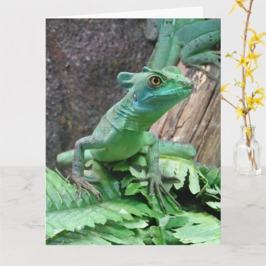 Groene Basilisk Kaart (Gele Bloem)