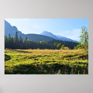 Groene Bergweide – Wilde Natuur Roemenië Poster