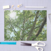 groene berk tegen blauwe hemel tissuepapier (Craft)