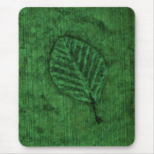 Groene blad fossiel