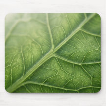 Groene Bladaders Macro Natuur Muismat