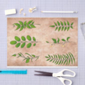 Groene bladeren bladeren planten met noodlottige s tissuepapier (Craft)