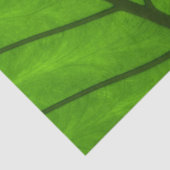 Groene bladeren, bladzijden achtergrond, leder, go tissuepapier (Detail)