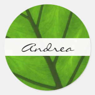 Groene bladeren, bladzijden achtergrond, leder, Jo Ronde Sticker
