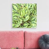 Groene bladeren canvas afdruk (Insitu (Woonkamer))
