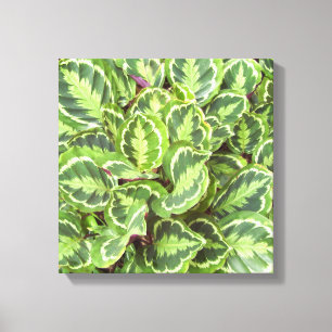 Groene bladeren canvas afdruk