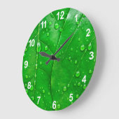 Groene bladeren grote klok (Hoek)