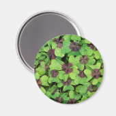 Groene bladeren magneet (Voorkant / Achterkant)