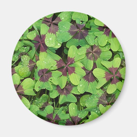 Groene bladeren magneet (Voorkant)