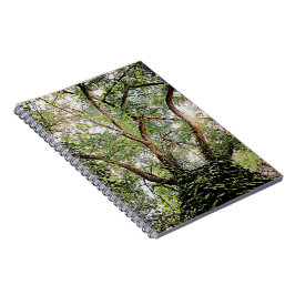 groene bladeren overal notitieboek