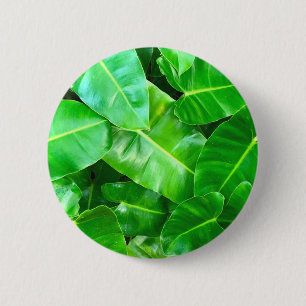 Groene bladeren Palmblad tropisch gebladerte oerwo Ronde Button 5,7 Cm