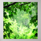 Groene bladeren poster (Voorkant)