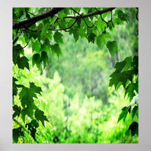 Groene bladeren poster (Voorkant)