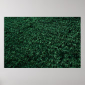 Groene bladeren poster (Voorkant)