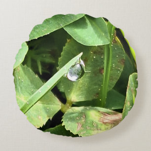 Groene Bladeren Roemenië - Botanische Blad-Kunst a Rond Kussen