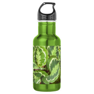 Groene bladeren waterfles 