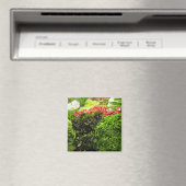 Groene bladgroentemmer magneet (Insitu (Vaatwasser))