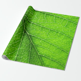 Groene bladtextuur cadeaupapier