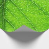 Groene bladtextuur cadeaupapier (Hoek)