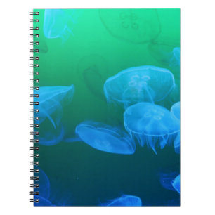 Groene blauwe gradiënt van wolkwal notitieboek