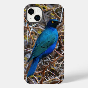 Groene blauwe haarstaarvogel Case-Mate iPhone 14 plus hoesje