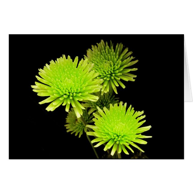 Groene bloemen (Voorkant Horizontaal)