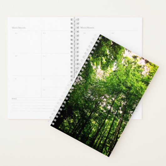 Groene bomen planner (Display)