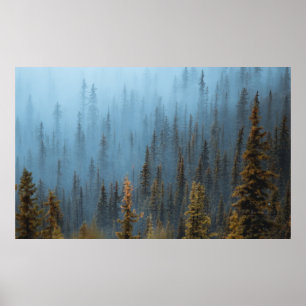 GROENE BOMEN TIJDENS DE DAG POSTER