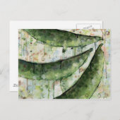 Groene Bonen Drie Briefkaart (Voorkant / Achterkant)