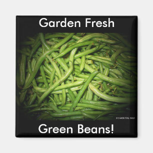 Groene Bonen in het spotlicht Magneet