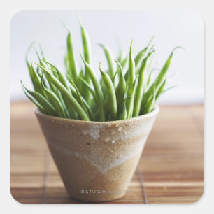 Groene bonen in pot op bamboe vierkante sticker