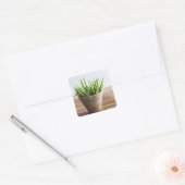 Groene bonen in pot op bamboe vierkante sticker (Envelop)