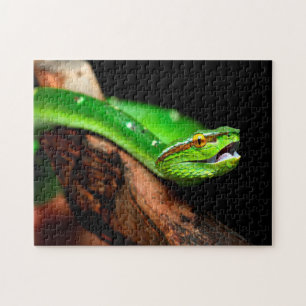 Groene boom Python, Jigzaag Puzzle Legpuzzel