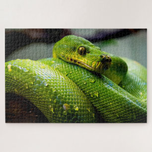 Groene boom Python, Jigzaag Puzzle Legpuzzel