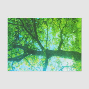 Groene Boom Tissuepapier