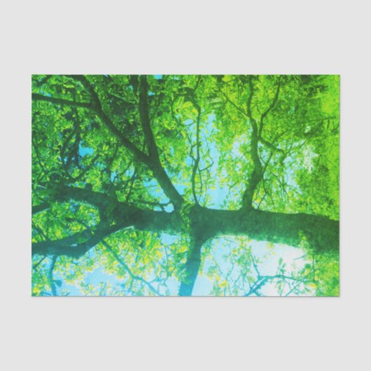 Groene Boom Tissuepapier (Voorkant)