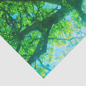Groene Boom Tissuepapier (Detail)