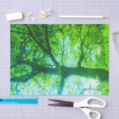Groene Boom Tissuepapier (Craft)