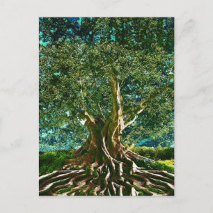 Groene boom van het Leven Briefkaart