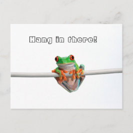 Groene boomkikker - Hang... Briefkaart