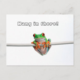 Groene boomkikker - Hang... Briefkaart