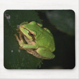 Groene boomkikker Mousepad Muismat