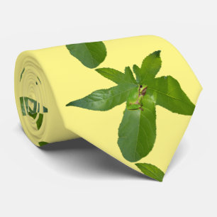 Groene boomkikker op leder, Stropdas