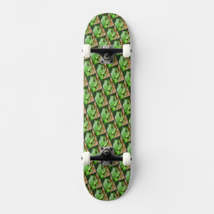Groene boomkikker skateboard
