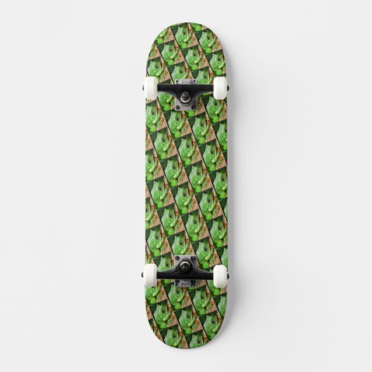 Groene boomkikker skateboard (Voorkant)