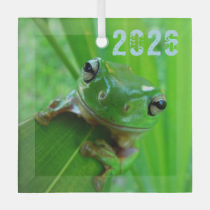 Groene boomkikkervervormer glas ornament