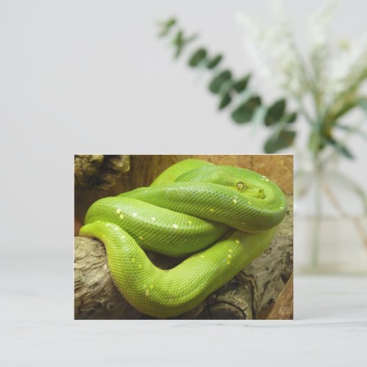 Groene boomPython Briefkaart (Staand voorkant)