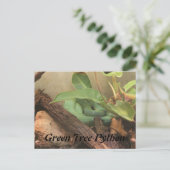Groene boomPython Briefkaart (Staand voorkant)