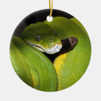 Groene boompython keramisch ornament