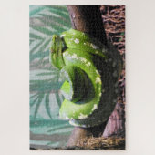 Groene boomPython Legpuzzel (Verticaal)